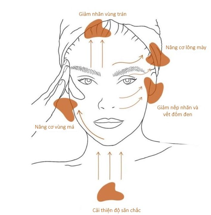 minh họa cách sử dụng và tác dụng của gua sha lên khuôn mặt